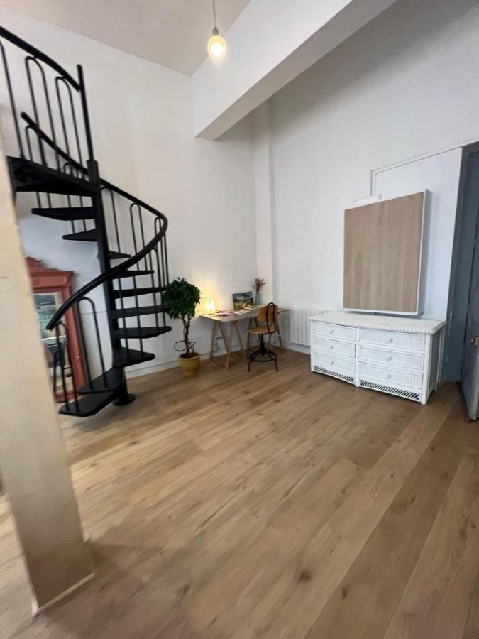 Appartement Studio Loft Cosy Centre St Etienne Saint-Etienne  Eksteriør billede